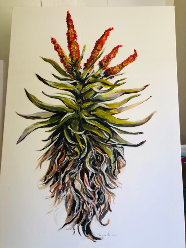 Aloe, landscape painting by Virginia Hadfield
