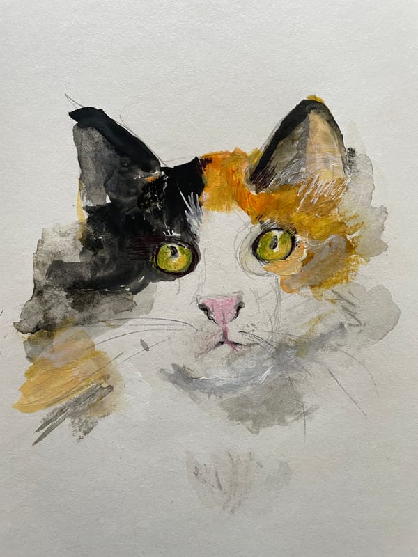 Calico Cat, pet portrait by Virginia Hadfield
