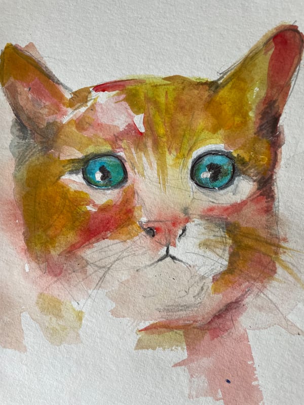 Ginger Cat, pet portrait by Virginia Hadfield