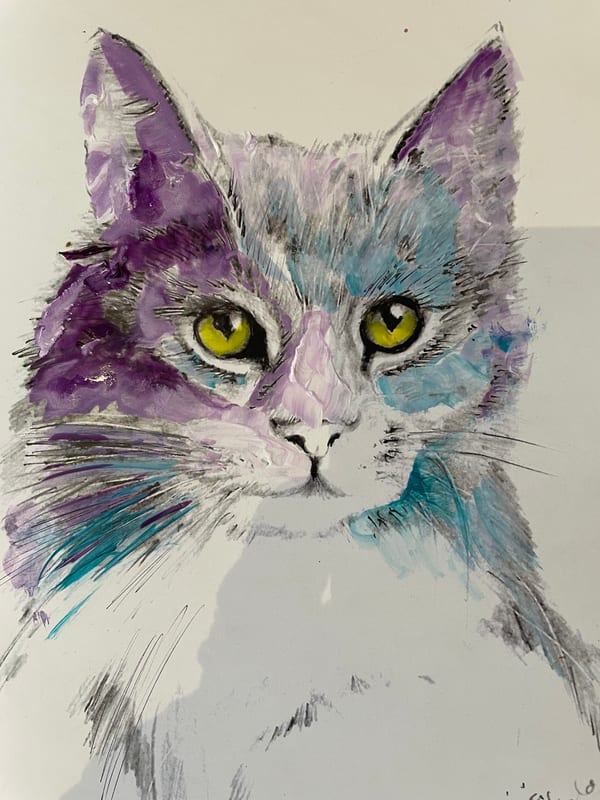 Grey Cat, pet portrait by Virginia Hadfield