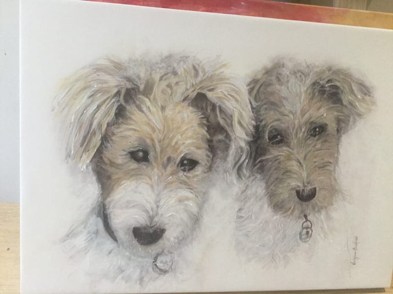 Terriers, pet portrait by Virginia Hadfield