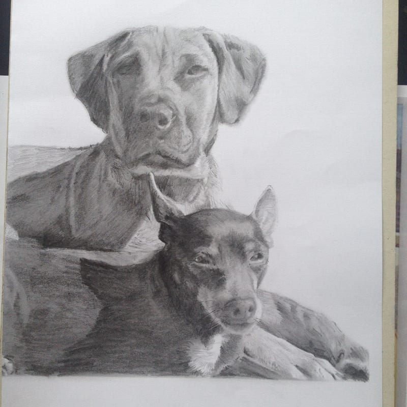 Companions, pet portrait by Virginia Hadfield