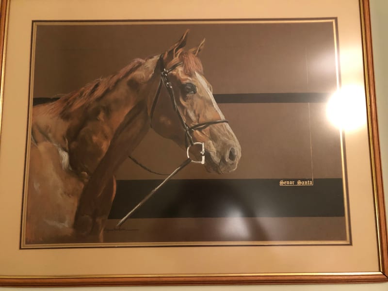 Bay Horse, wildlife painting by Virginia Hadfield
