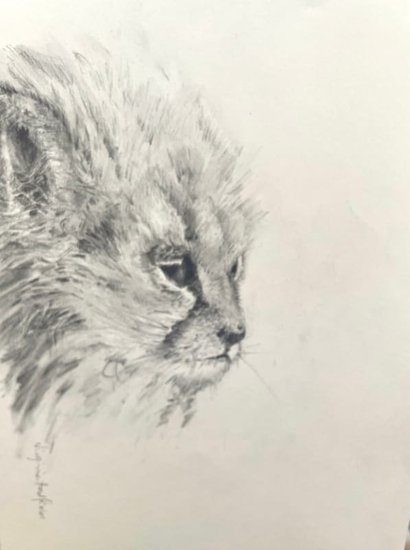 wildlife painting by Virginia Hadfield