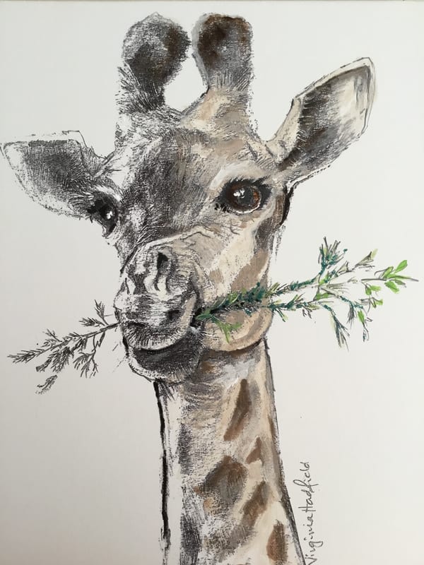 Wildlife