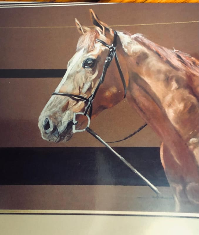 Palomino, wildlife painting by Virginia Hadfield