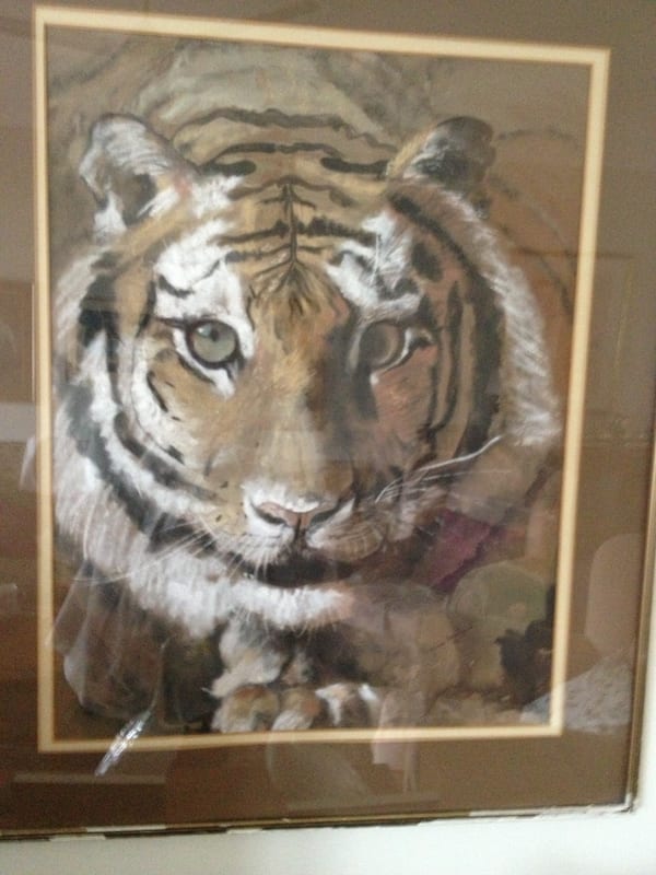 Tiger, wildlife painting by Virginia Hadfield