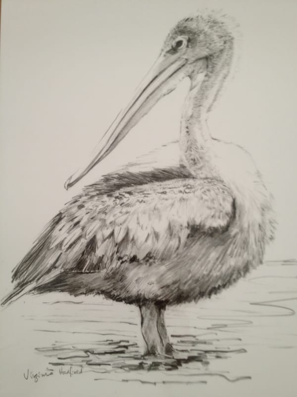 Waterbird, wildlife painting by Virginia Hadfield